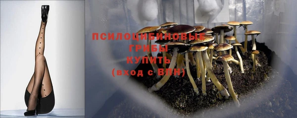 прущая мука Остров