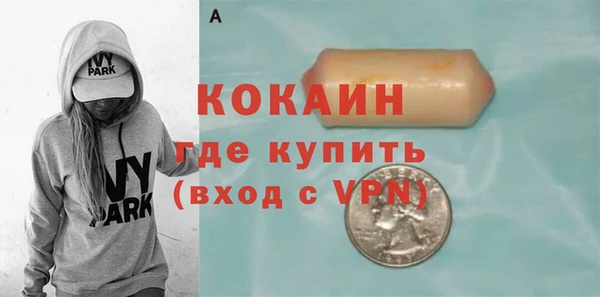 мдпв Няндома
