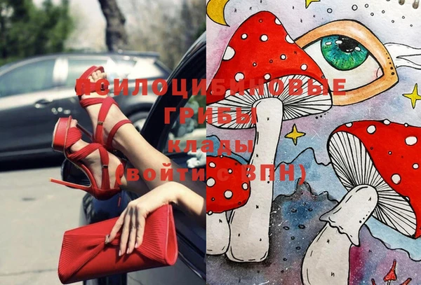 а пвп мука Осташков