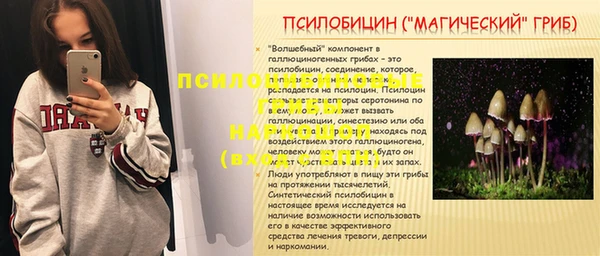 меф Осинники