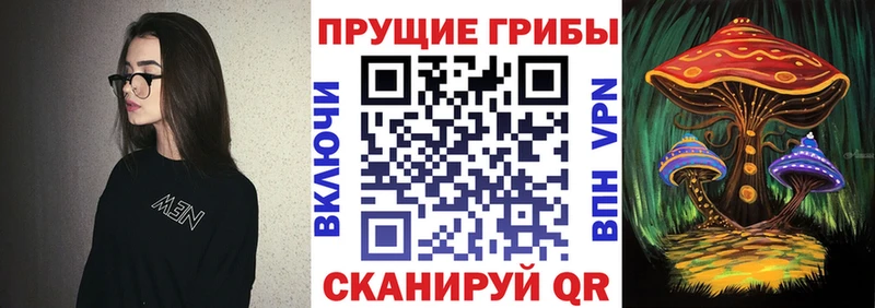Галлюциногенные грибы мухоморы  кракен зеркало  Рудня 